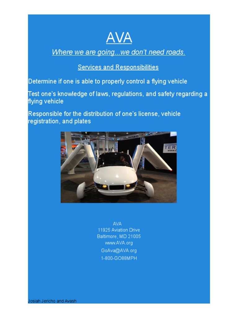 Aviation Vehicle Control & Licensing Services | PDF
