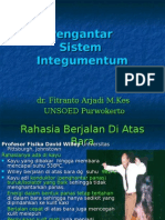 Anatomi Integumentum2009