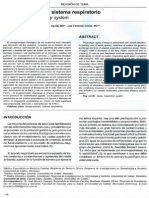 Sistema Respiratorio+ PDF