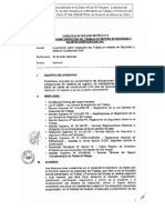 LINEAMIENTOS DE INSPECCION EN CONSTRUCCION.pdf