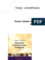 Veterinary Anesthesia (Autosaved)