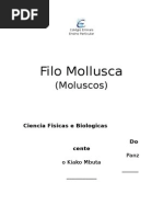 Filo Moluscos 