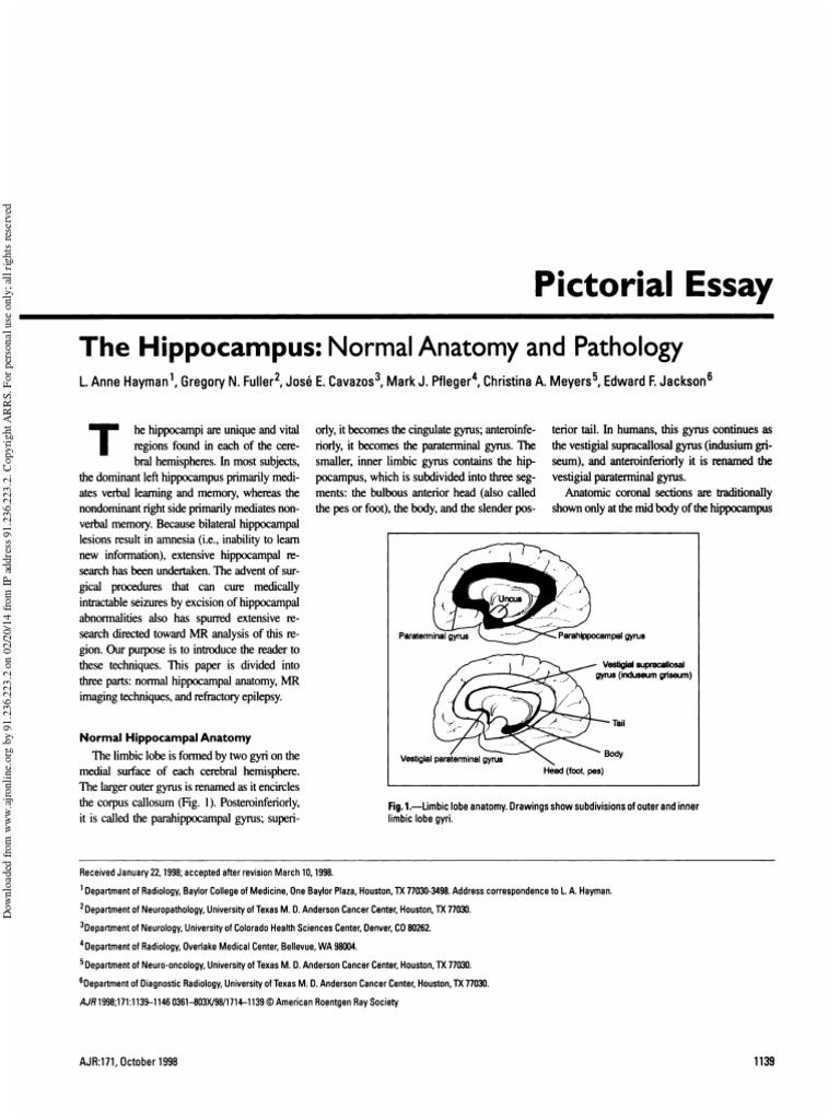 Pictorial Essay: The Hippocampus: Normal Anatomy and Pathology | PDF ...