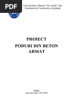 Proiect Poduri Din Beton Armat