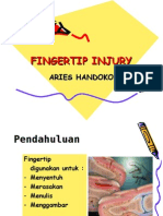 Fingertip Injury1