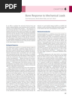 Download Mechanical loads - bone response  by lllllAdelalllll SN259654001 doc pdf