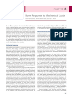 Mechanical Loads - Bone Response