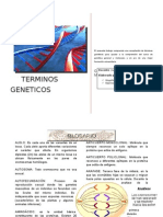 Términos Genéticos