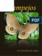 Lampejos