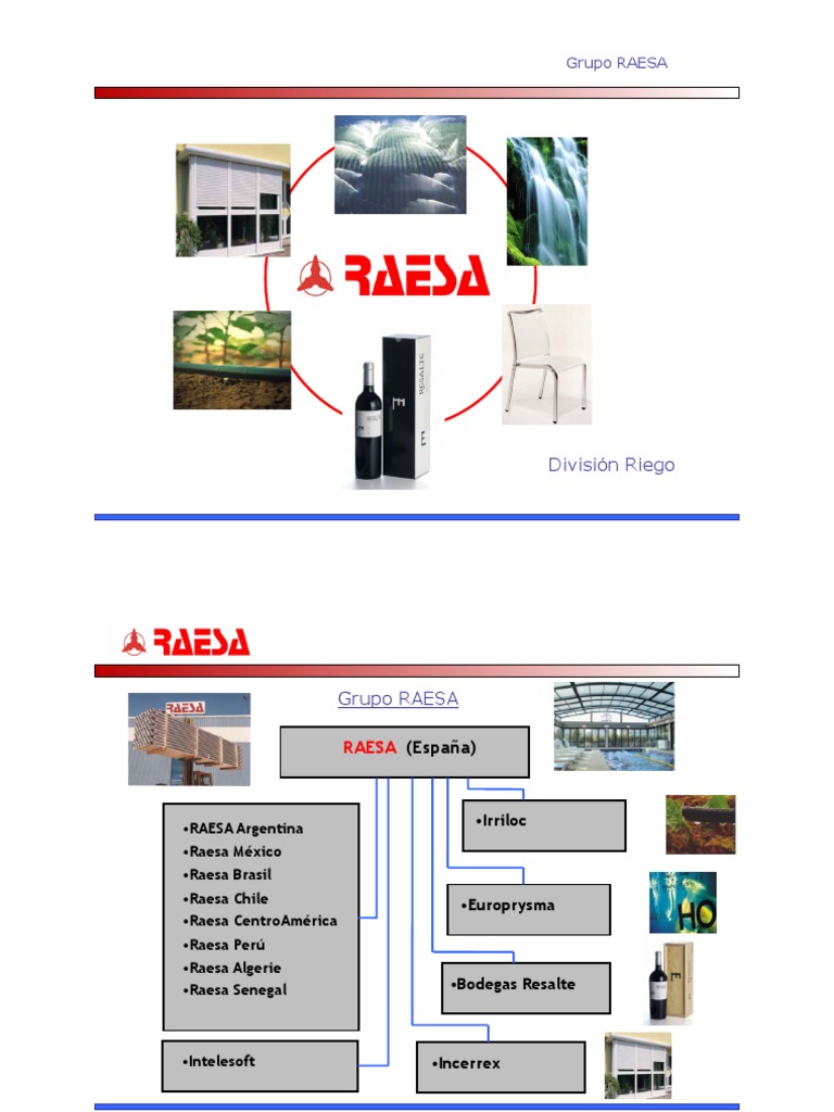 Presentacion Grupo Raesa Riego ES | PDF | Riego | Agricultura