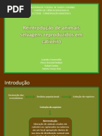 seminário_conservaçao