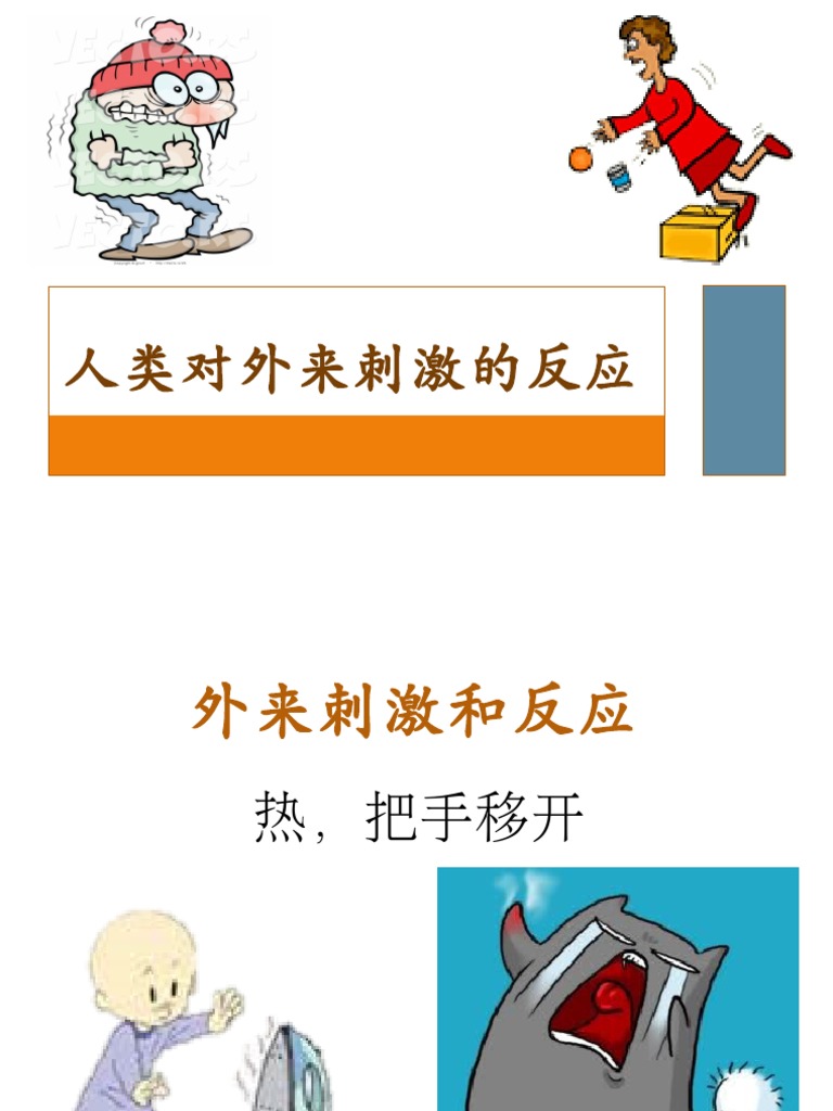 人类对外来刺激的反应 Pdf