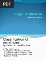 Download Fungi Classification 09 by chocoholic potchi SN25967797 doc pdf