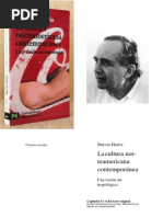 Cultura Norteamericana 