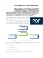 Structura Şi Caracteristica Capitalului Bancar