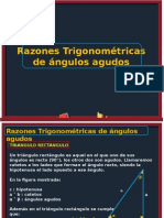 Razones Trigonométricas de Ángulos Agudos