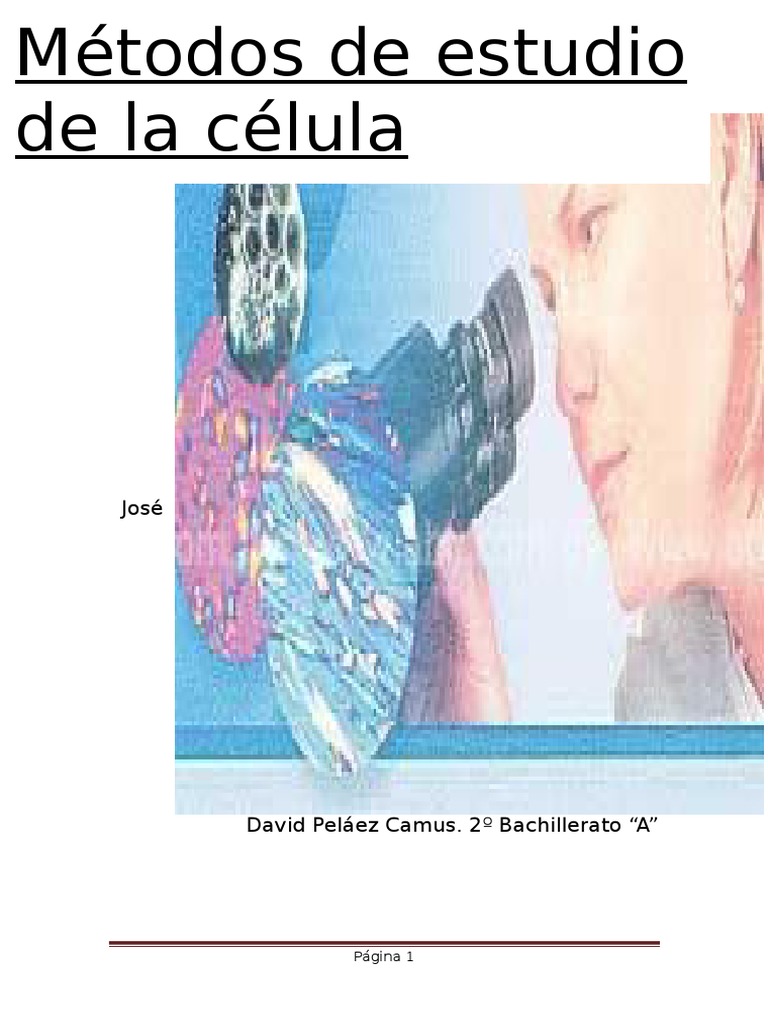Métodos de Estudio de La Célula Microscopio Biología Celular)