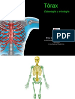 Torax Osteologia Artrologia
