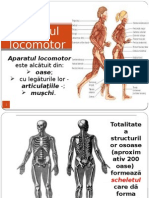 Aparatul Locomotor LP