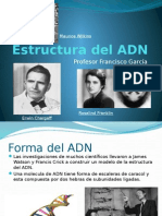 Estructura Del ADN