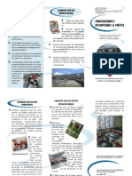 Problematizacion PDF