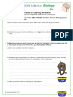 The Brain and Learning Worksheet