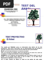 Test Árbol (Gm)