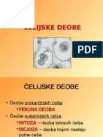 Celijske Deobe