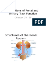 Renal Pathophysiology