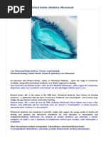 Entrevista de Dr. Richard Gerber. Medicina Vibracional.