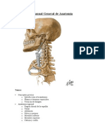 Apunte de Generalidades de Anatomia UFT