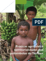 Práticas Agrícolas e Territorialidades Dos Quilombolas Do Tambor