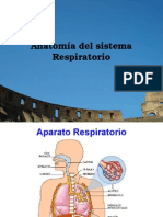 Anatomia Sistema Respiratorio