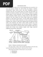 Download Imunomodulator by Imut Mainah SN259740288 doc pdf