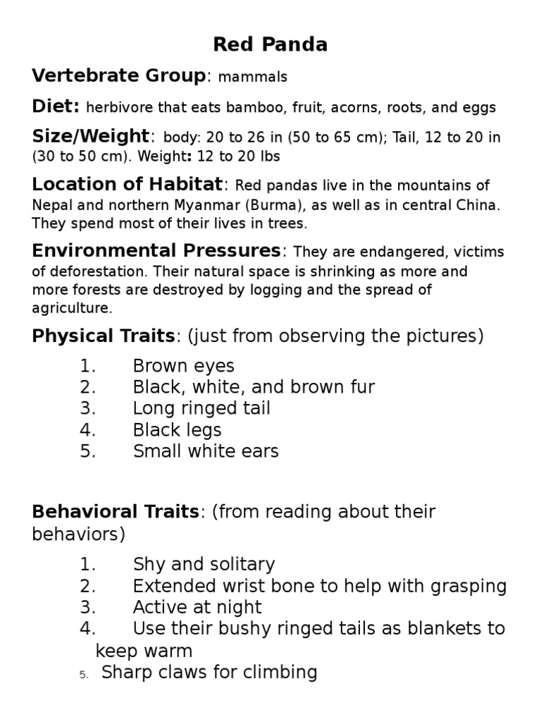 Red Panda Facts and Habitat | PDF