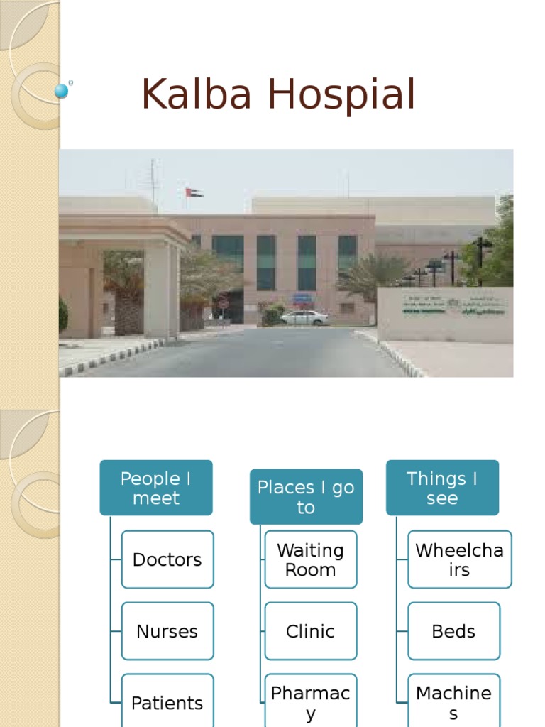 Hospital | PDF