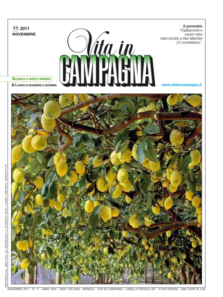 ASD Club Ippico Cairese | Cairo Montenotte, image size:768x1024