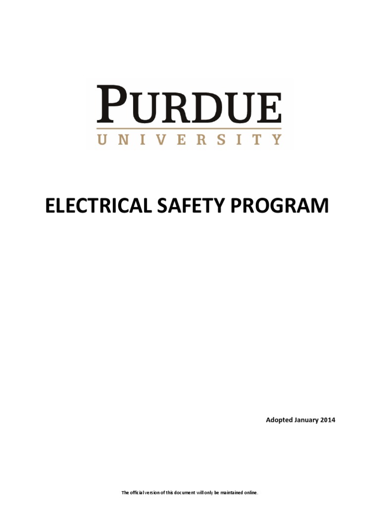 Electrical Safety Program PDF Personal Protective Equipment Capacitor