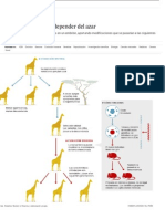 La Evolución Deja de Depender Del Azar - Ciencia - EL PAÍS