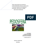 PEDOSFERA.docx
