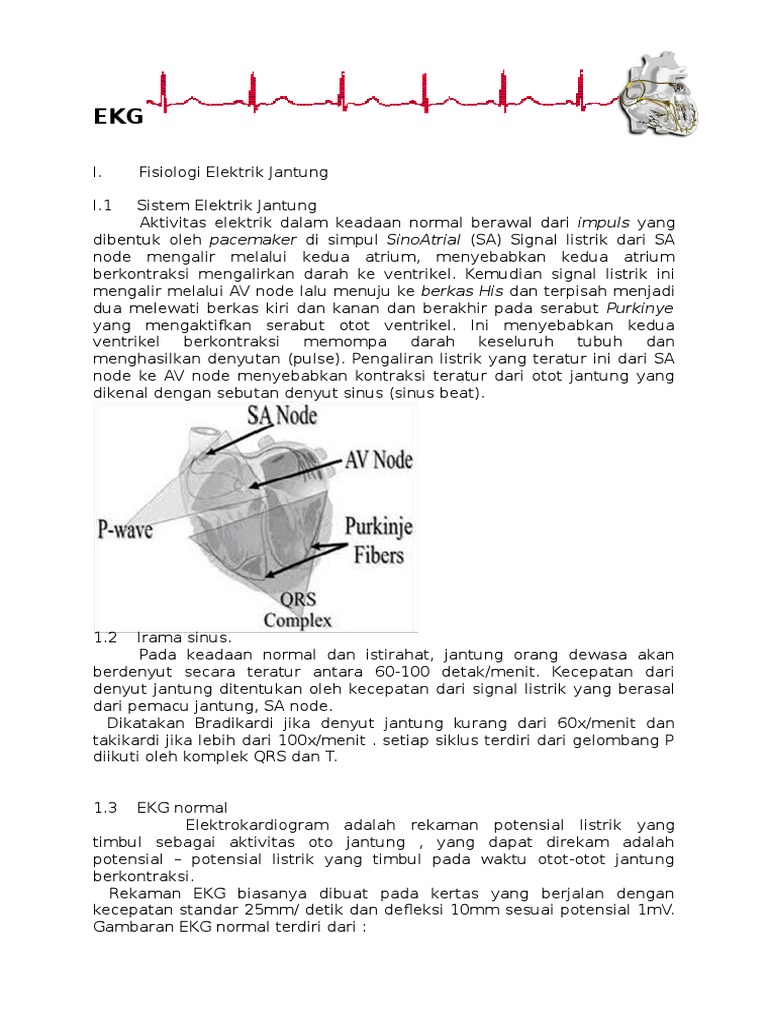 Download 8300 Gambar Ekg Jantung Bermasalah Keren Gratis HD