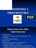 Hulumtimi I Sipermarrjes