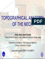 Topographicanatomy Neck Tisk