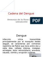 Cadena Del Dengue