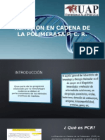 expo pcr