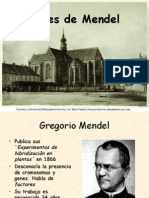 Leyes de Mendel