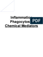 INFLAMMATION PHAGOCYTOSIS CHEMICAL MEDIATORS