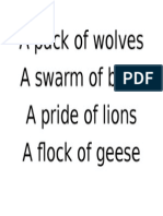 A Pack of Wolves A Swarm of Bees A Pride of Lions A Flock of Geese