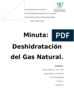 Deshidratacion Del Gas Natural! Termo