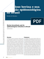 Brucelose Bovina e Sua Situação Epidemiológica No Brasil